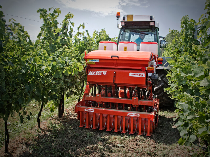 DELFINO DL - Power harrow with rigid frame