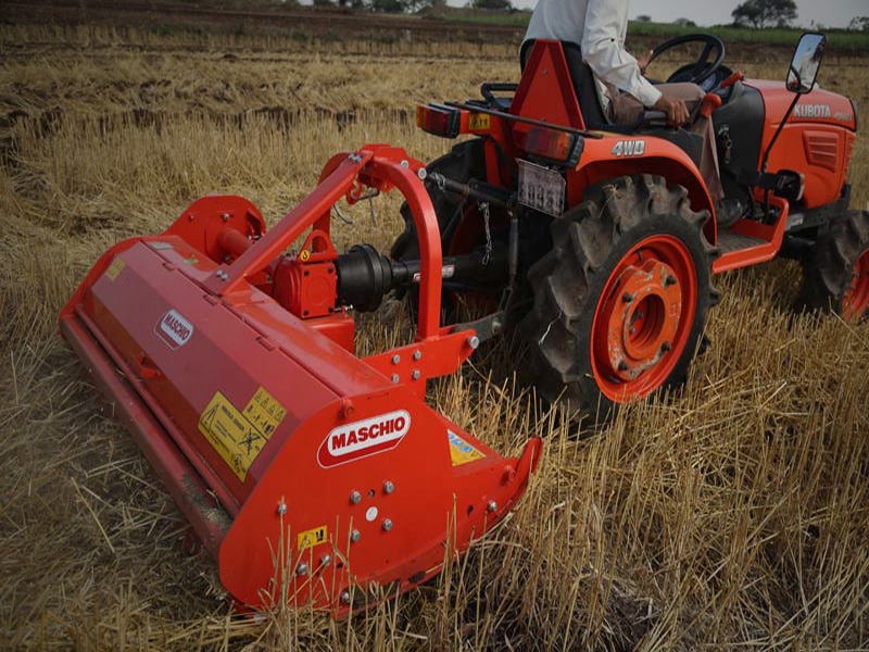 Maschio barbie clearance