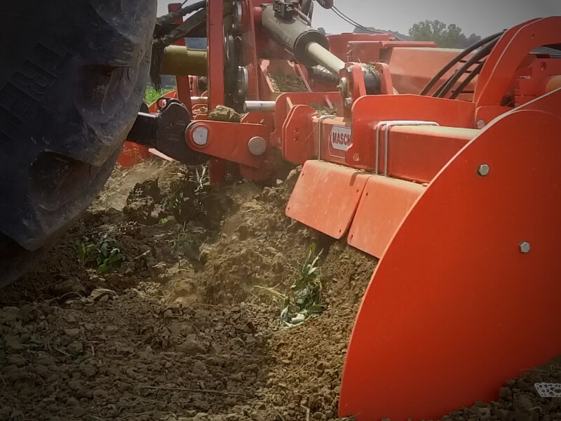 PANTERA L - Folding rotary tiller with gearbox