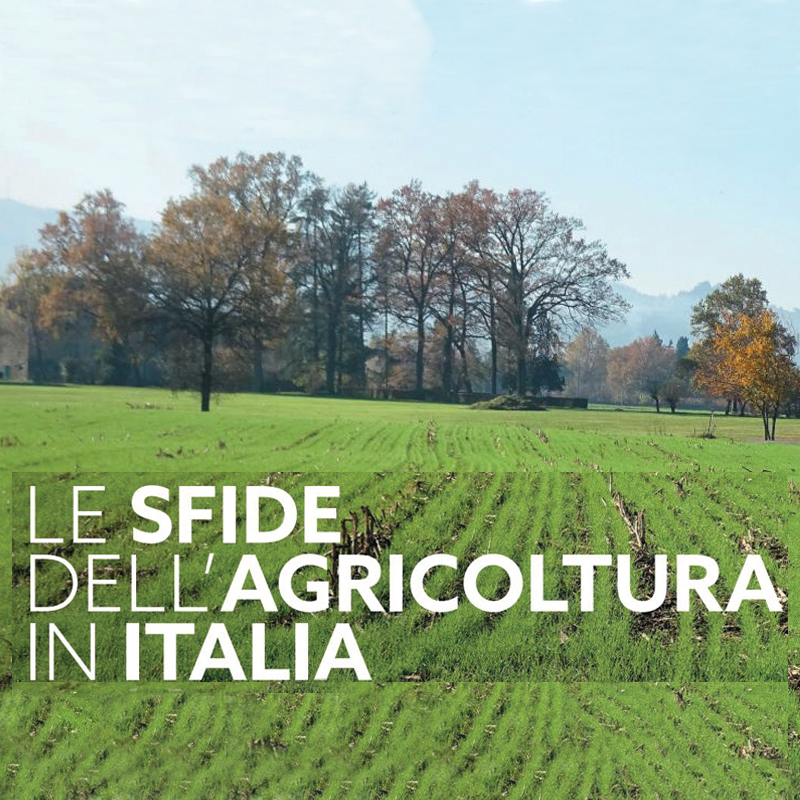 WEBINAR "THE CHALLENGES OF AGRICOLTURE IN ITALY"
