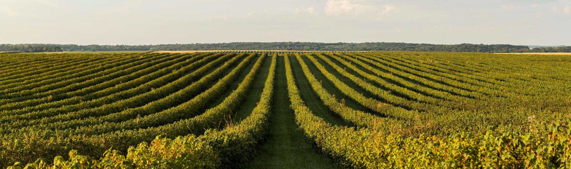 LIFE APOLLO in anteprima a Fieragricola 2026