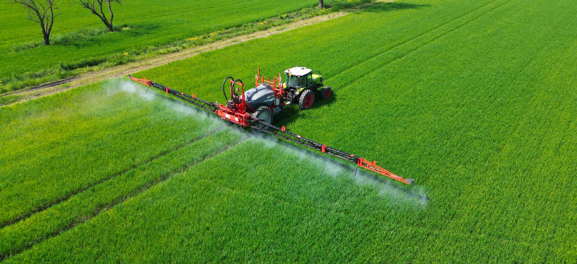 CAMPO 22-32