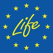 Life Apollo