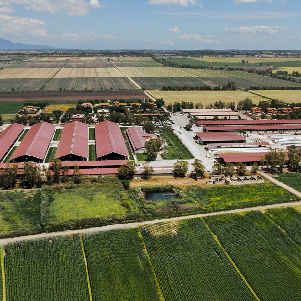 key farm