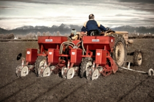 L’acquisizione di Gaspardo