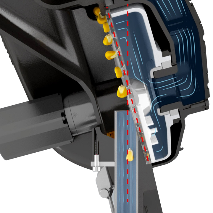 L'importanza di ogni singolo seme