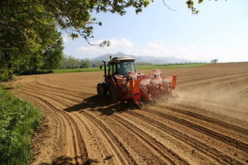 La semina della quinoa con MTR ISOTRONIC