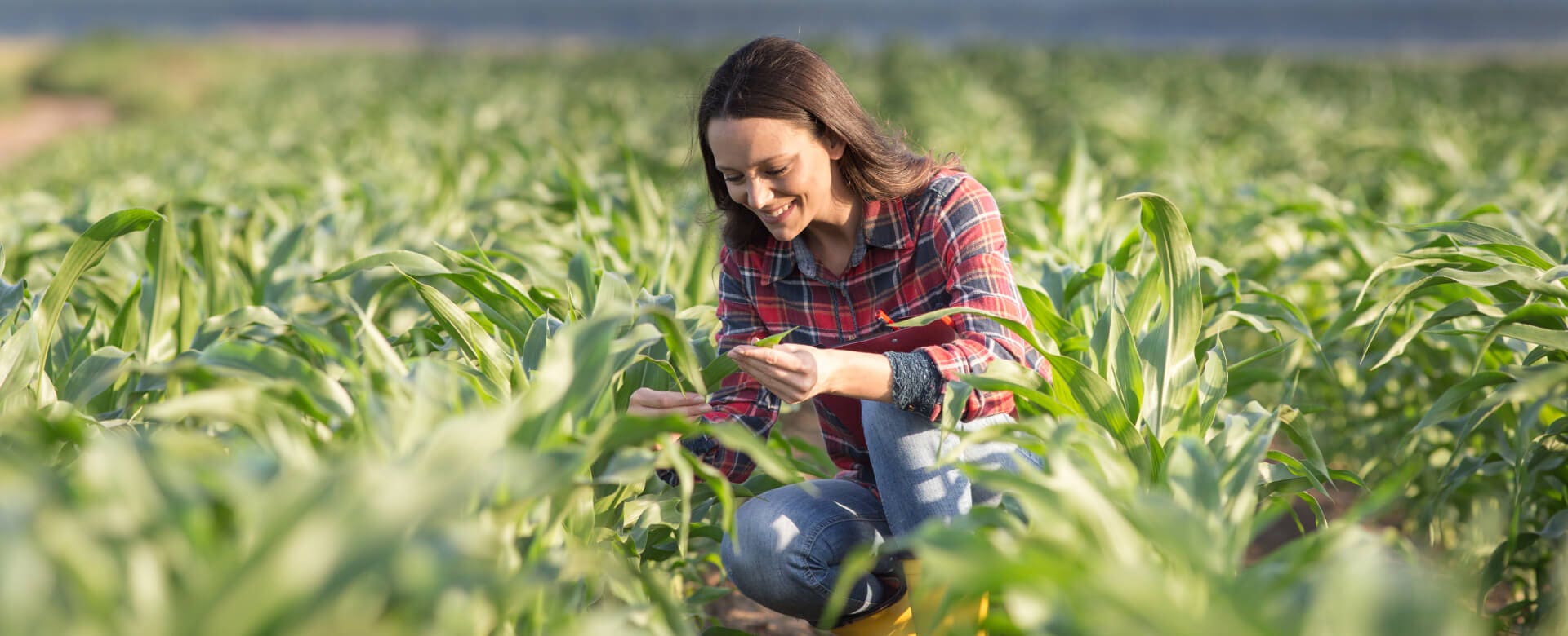 Récompenses pour notre durabilité