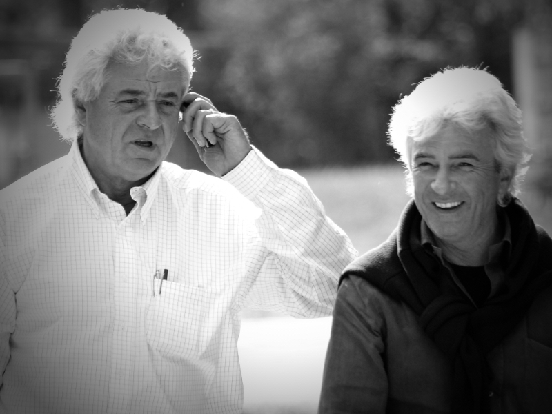 Maschio Gaspardo Academy